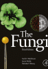 The Fungi