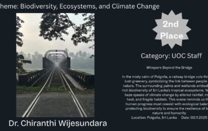 Dr. Chiranthi Wijesundara Wins Awards at “ECO CHAYA” Photography Competition