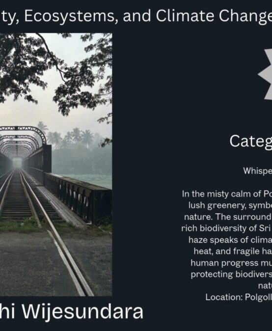 Dr. Chiranthi Wijesundara Wins Awards at “ECO CHAYA” Photography Competition